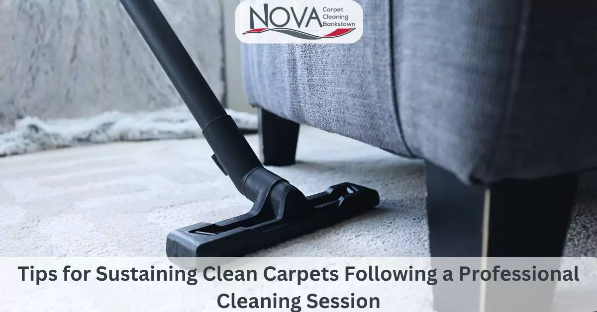 Carpet Cleaning in Bankstown