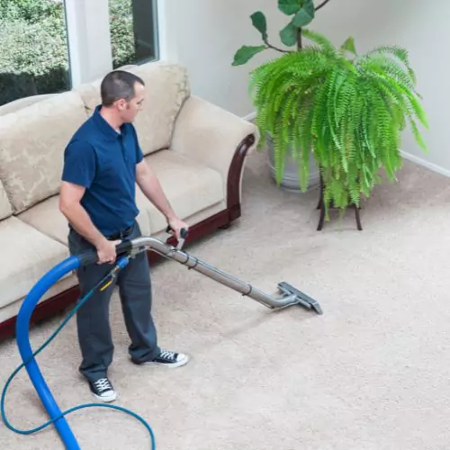 Carpet Cleaning Services