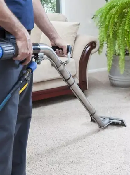 Carpet Cleaning Services